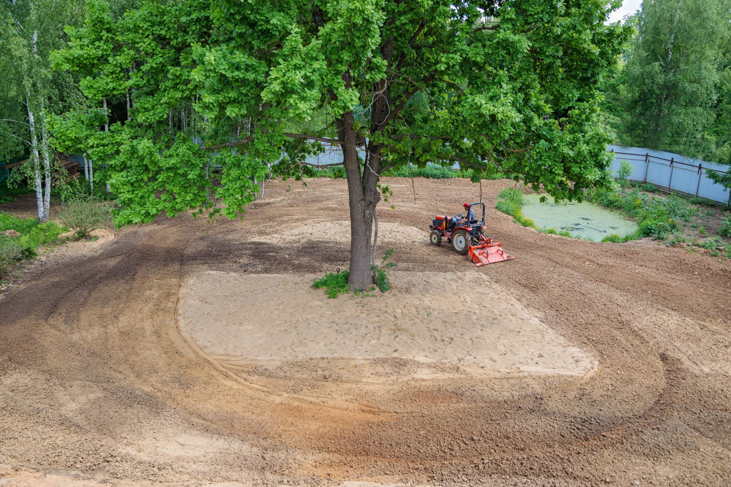 Traktor mit Bodenfräse arbeitet sorgfältig um großen Baum