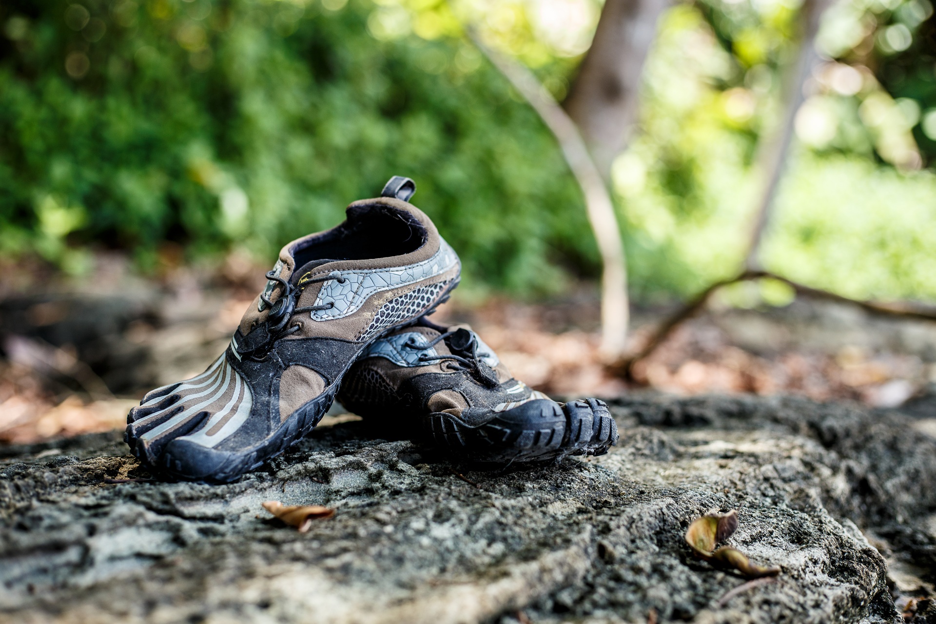 Barfußschuhe im Wald platziert | Leguano

