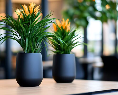 Blumentöpfe im modernen Büro